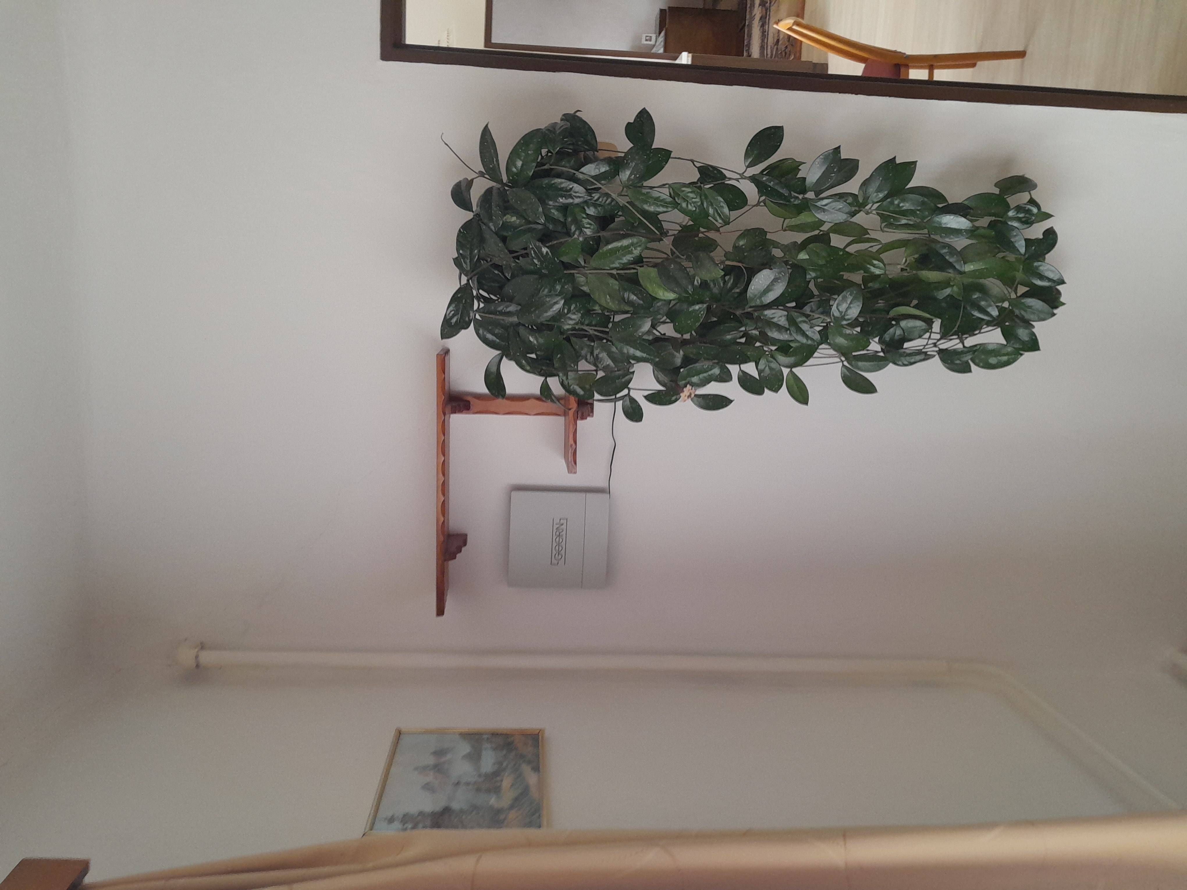 Rodinný dům, Týn nad Sázavou